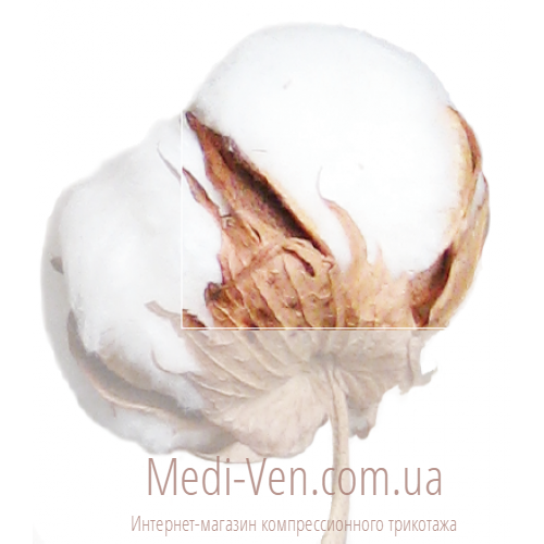 60% ХЛОПОК Компрессионные гольфы Aries Avicenum 360 второго класса компрессии